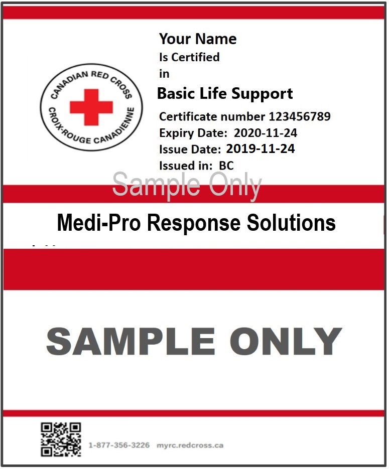 Canadian Red Cross Basic Life Support courses in Kelowna and Vancouver