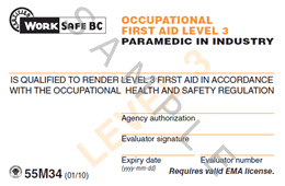 Worksafe OFA 3