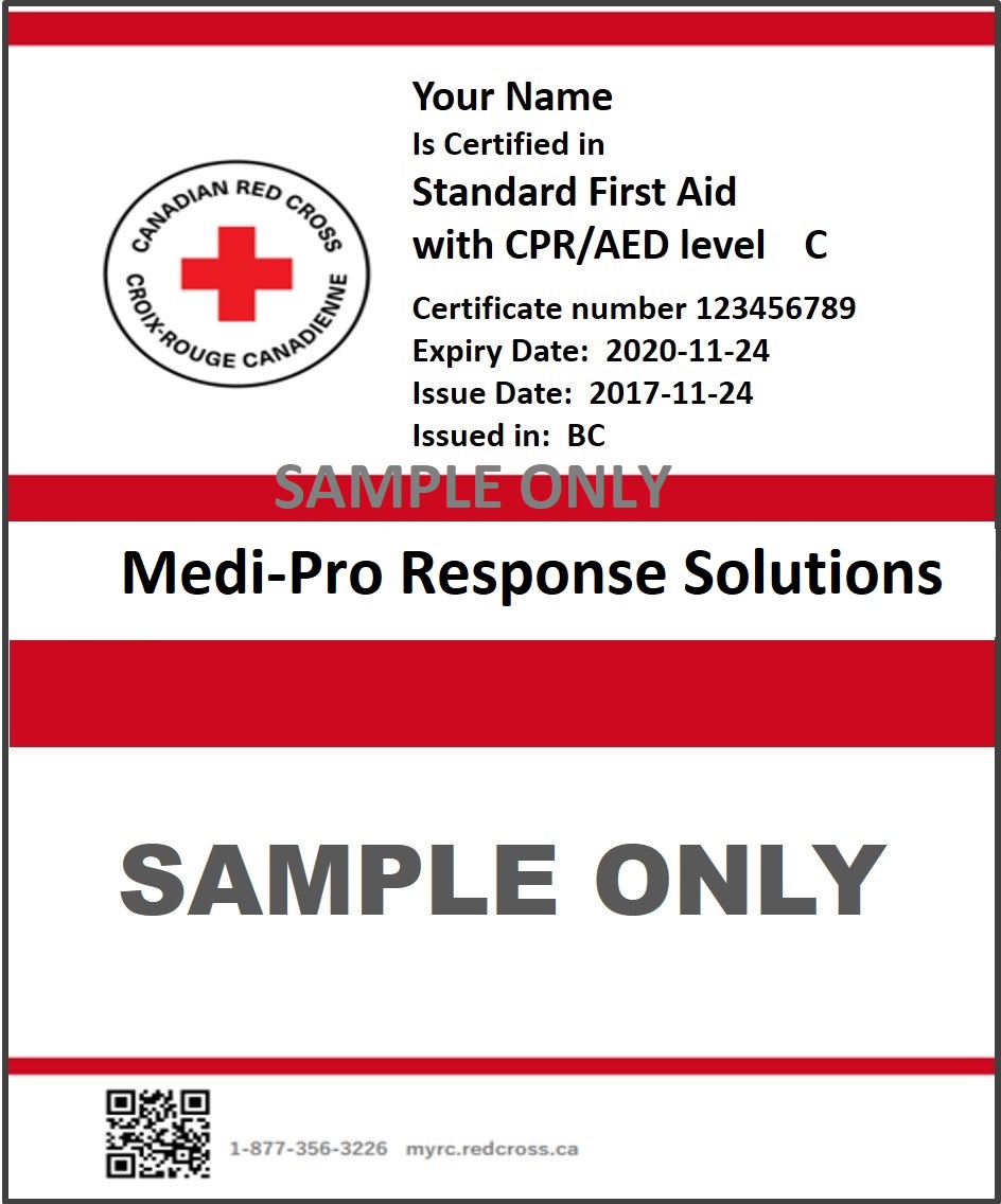 Canadian Red Cross Standard First Aid courses in Kelowna and Vancouver